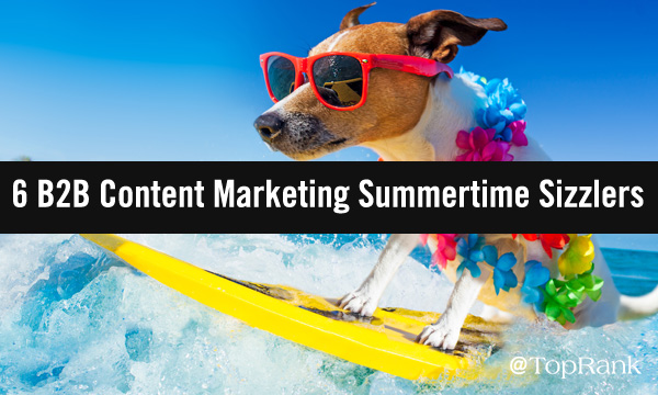 Hond surfen in de zomer van B2B marketing imago.
