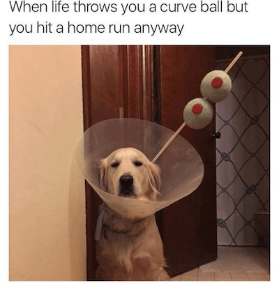 curveball-meme