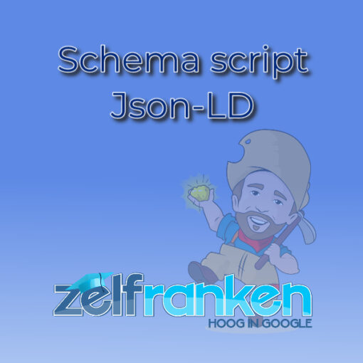 seo cursus schema script Json-LD